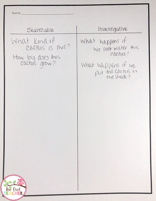 Stimulate curiosity with your students through this process of observation and questioning in science. It piques their interests and engages!