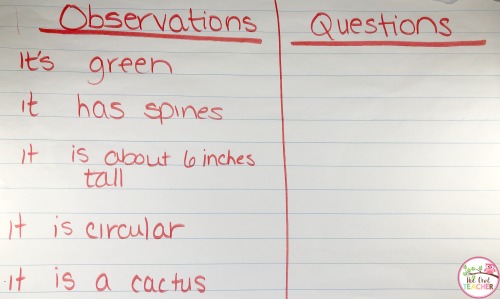 Stimulate curiosity with your students through this process of observation and questioning in science. It piques their interests and engages!