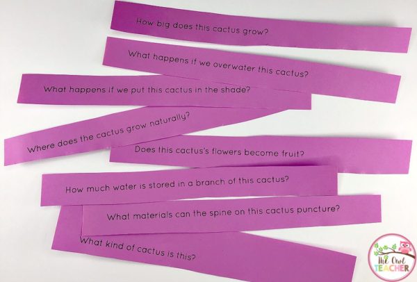 Stimulate curiosity with your students through this process of observation and questioning in science. It piques their interests and engages!