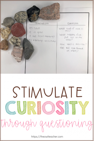 Stimulate curiosity with your students through this process of observation and questioning in science. It piques their interests and engages!