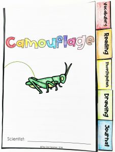 Are you looking for a new way for your students to investigate camouflage? Check out these two different activities for students to explore this physical adaptation!