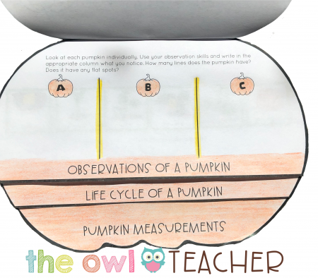 This pumpkin flipbook is free when you read all about the science and math pumpkin activities on The Owl Teacher Blog!