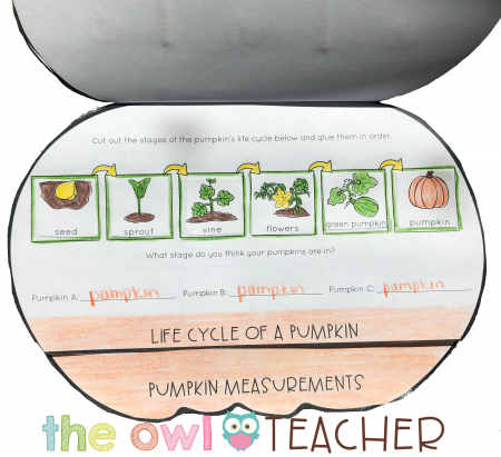 This pumpkin flipbook is free when you read all about the science and math pumpkin activities on The Owl Teacher Blog!
