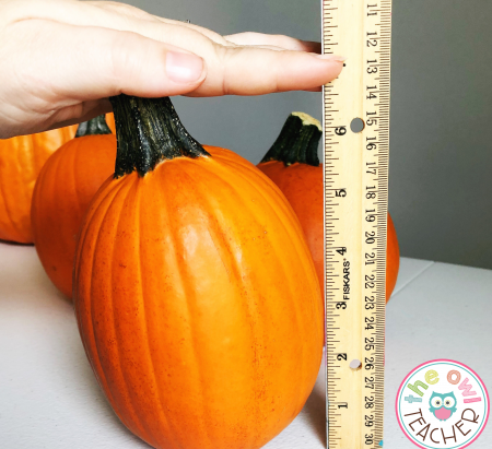 There are lots of ways to measure pumpkins for both math and science. Check out these ideas on The Owl Teacher's blog!