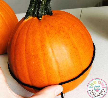 There are lots of ways to measure pumpkins for both math and science. Check out these ideas on The Owl Teacher's blog!