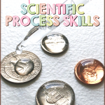 When teaching the scientific method, it's important that you also teach the scientific process skills. Check out these science activities to help you get started and grab a freebie!