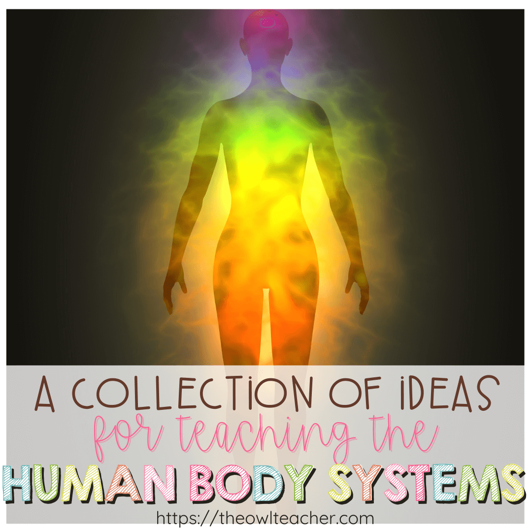 If you're teaching the human body systems, you need to check out this post. It is a collection of valuable freebies, websites, and so much more. Save this pin and click through to learn more!