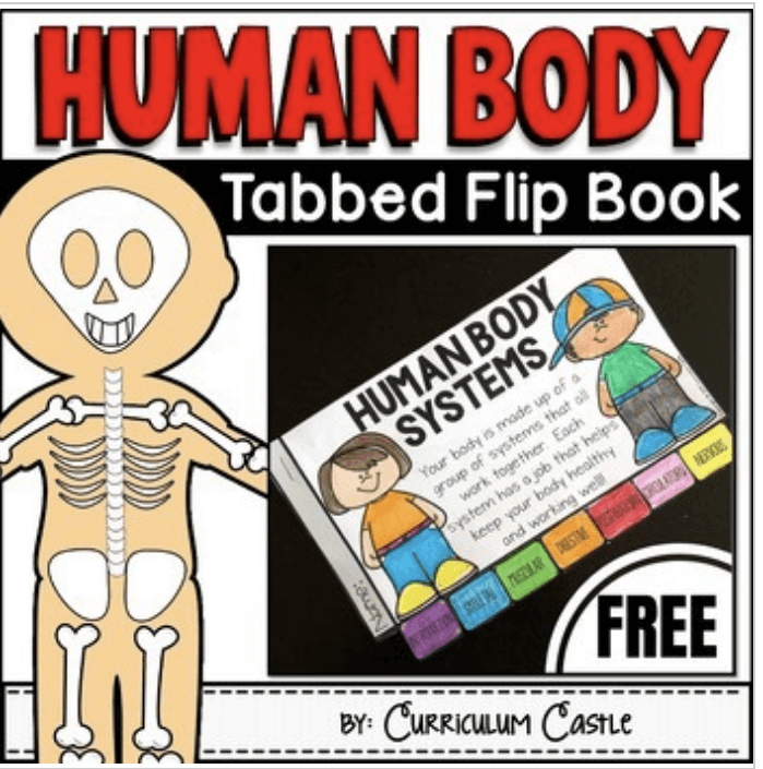 If you're teaching the human body systems, you need to check out this post. It is a collection of valuable freebies, websites, and so much more. Save this pin and click through to learn more!