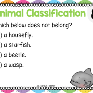 Animal Classification Boom Cards