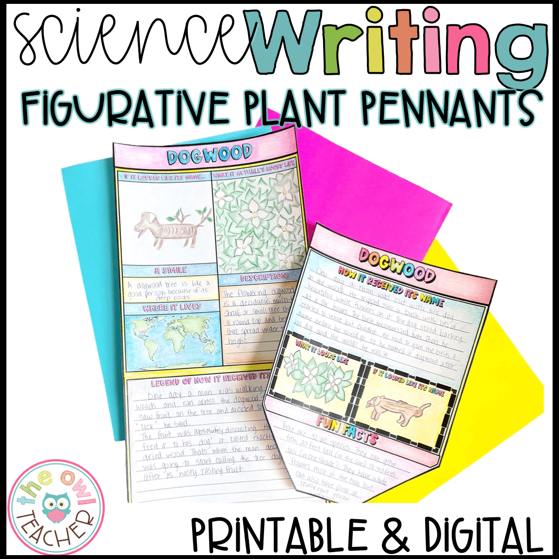 Figurative Plant Pennants - Figurative Language and Legend Writing