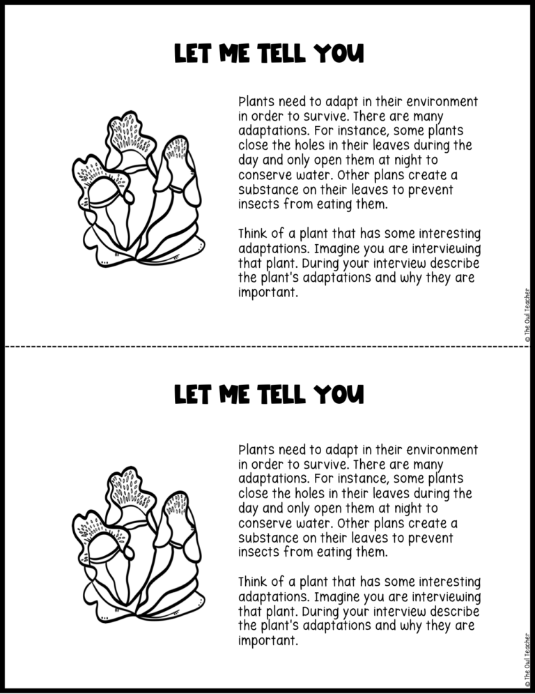 Creative writing exercises picture