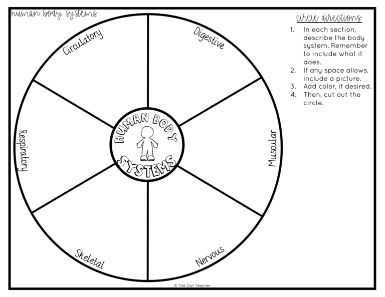 Human Body Systems Circle Book Printable & Digital - The Owl Teacher