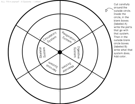 Human Body Systems Wheel - The Owl Teacher
