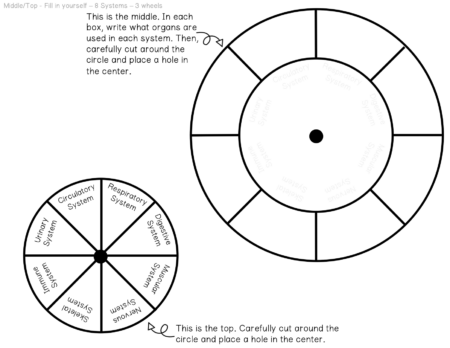 Human Body Systems Wheel - The Owl Teacher