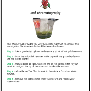 Leaf Chromatography Chlorophyll in Plants Investigation Booklet
