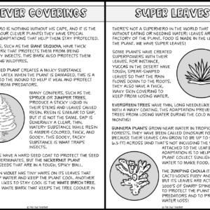 Plant Adaptations Superheroes Project