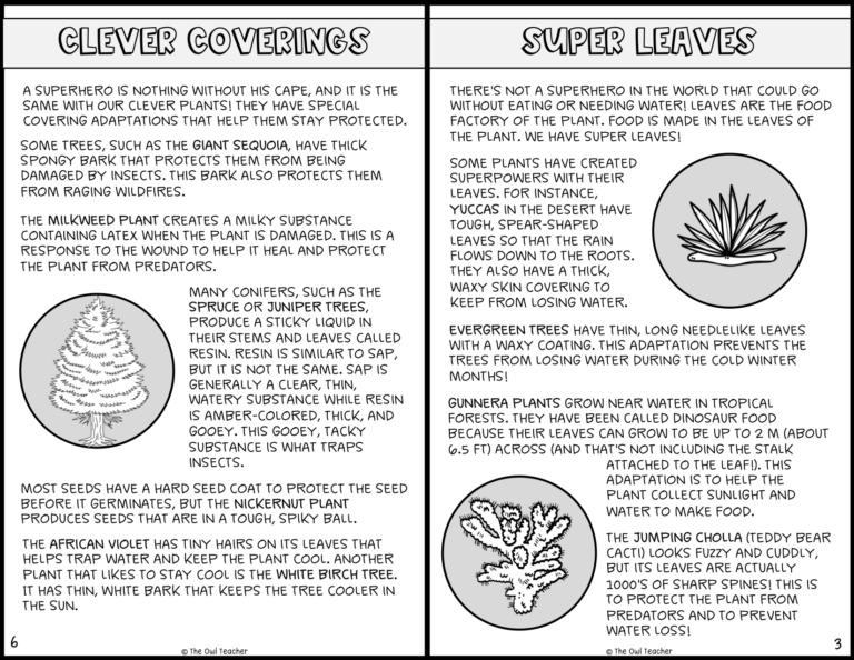 Plant Adaptations Superheroes Project - The Owl Teacher