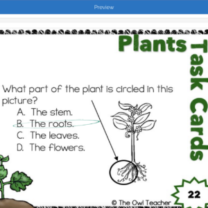 Plant Boom Cards | Plant Task Boom Cards