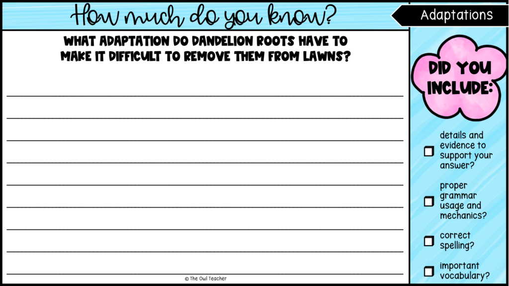 Adaptations Science Writing Prompts | Exit Tickets - Image 4