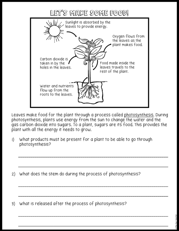 Photosynthesis Role Play Science Activity - The Owl Teacher