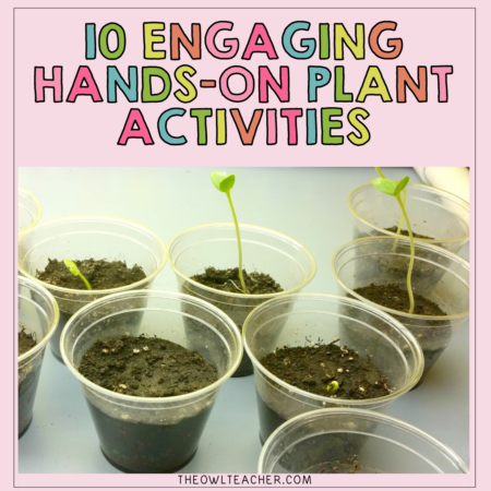 Next time you need hands-on plant activities, check out this post where I walk you through a variety of activities for teaching the needs of plants, the parts of plants and their functions, photosynthesis, a plant's life cycle, pollination, plant cells, chlorophyll, plant adaptations, and so much more! Click through to learn more!