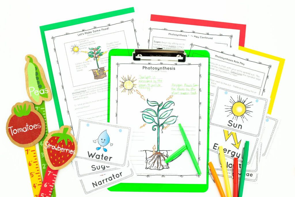 Next time you need hands-on plant activities, check out this post where I walk you through a variety of activities for teaching the needs of plants, the parts of plants and their functions, photosynthesis, a plant's life cycle, and so much more! Click through to learn more!