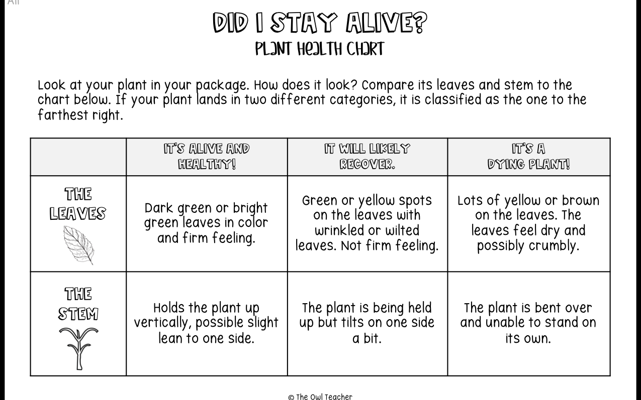 When you are teaching your students about a plant's needs, consider using hands-on plant activities. This post covers a variety of activities for the next time you have to teach plants in your elementary science classroom!