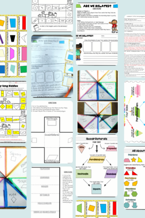 All About Polygons (includes Polygon Riddles) - The Owl Teacher