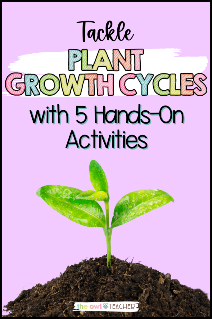 Introduce growth into your classroom with these five hands-on plant growth activities!