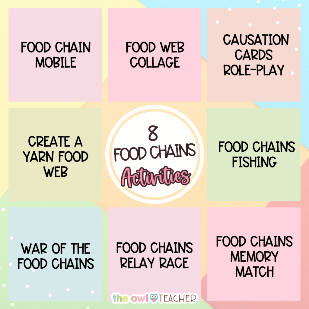 food chain research task