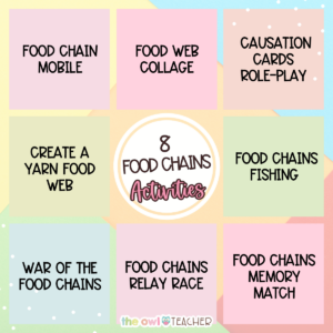 On Activities to Master Food Chains and Food Webs Biology Diagrams