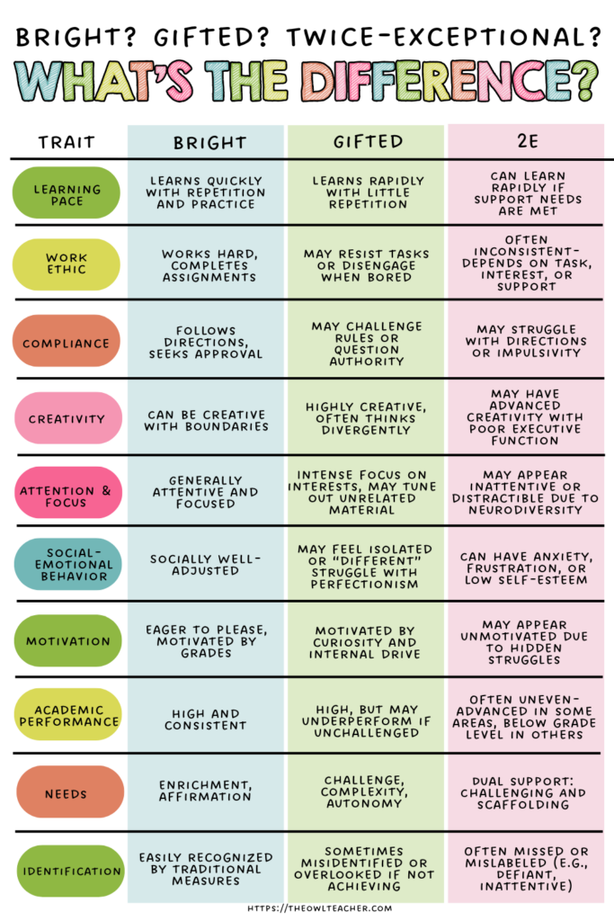 An image with a white background that has a chart comparing traits of the bright students, gifted students, and 2E students.