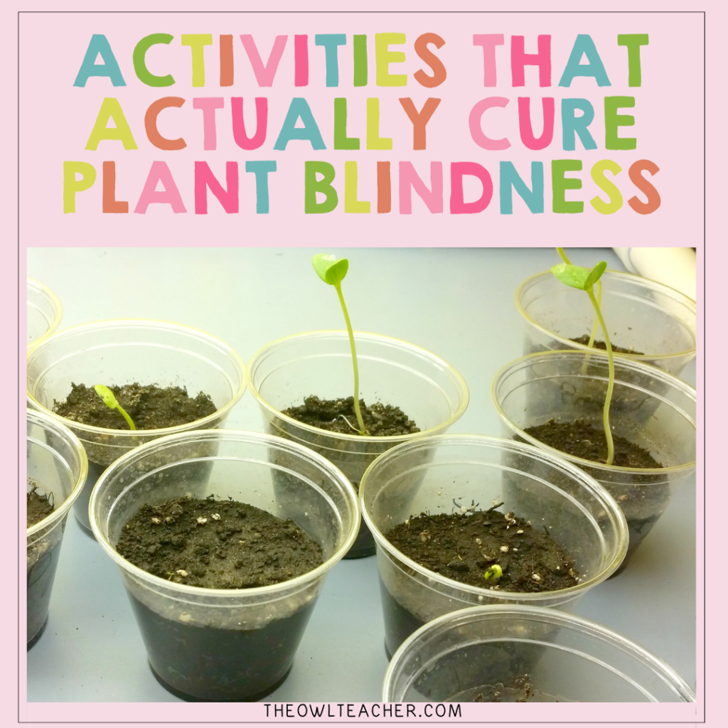 Multiple clear containers with soil showing various stages of seedling growth, some with sprouted green shoots at different heights